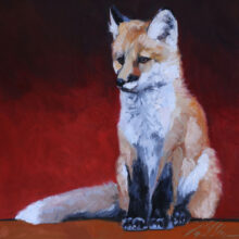 Red Fox in Red – #204