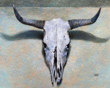 Cow Skull – #224