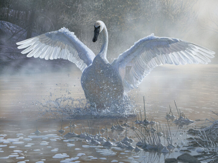 Winter’s Grace – #10