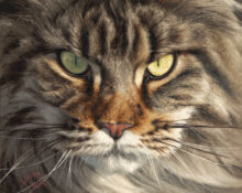 The Huntress – #11