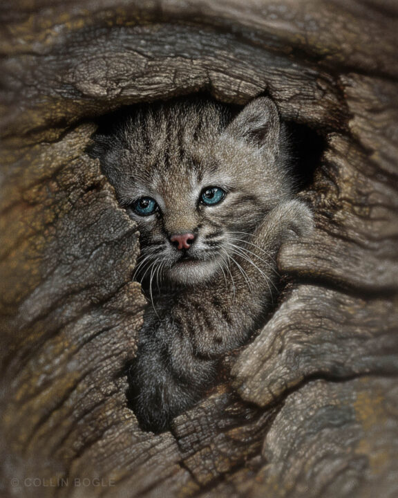 Hidden Wonder – #18