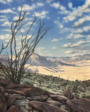 Borrego Springs with My Dad – #20