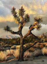 Winter Light – #21