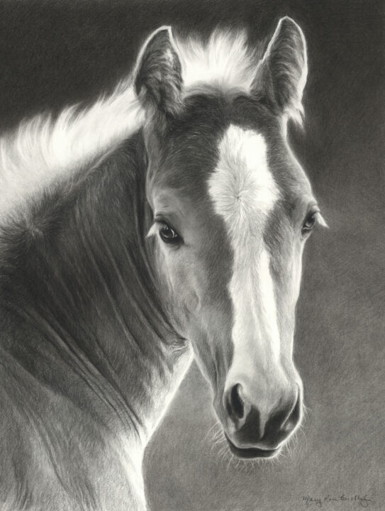 She’s a Looker – #25