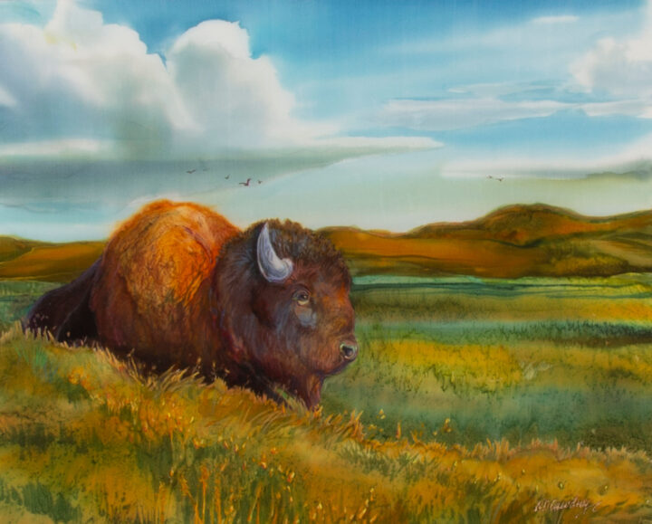 Tall Grass Prairie – #34