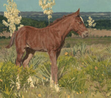 A Little Bit Flashy – #41