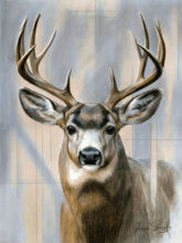 Heart of the Forest – #42