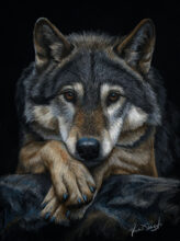 When Silence Speaks – #43