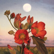 Mallow of Eldorado – #64