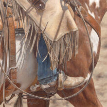 Forget the Glass Slipper – #73