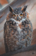 Canyon Oracle – #82