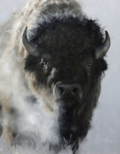 Plains Drifter – #88