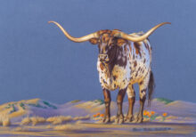 A Texan Living in California – #91