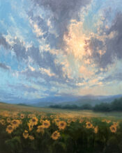 Evening Sunflowers – #96