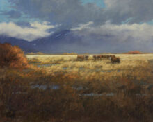 Hanging Out in Hondo – #100