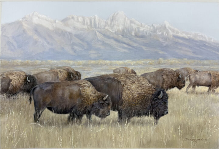 Where the Bison Roam – #113