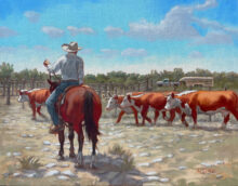 Penning Culls – #118