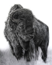 The Rambler – #158