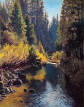 A Drift in Autumn – #201