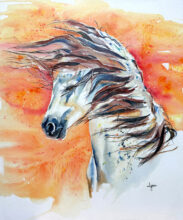 Mare Hair–Don’t Care – #205