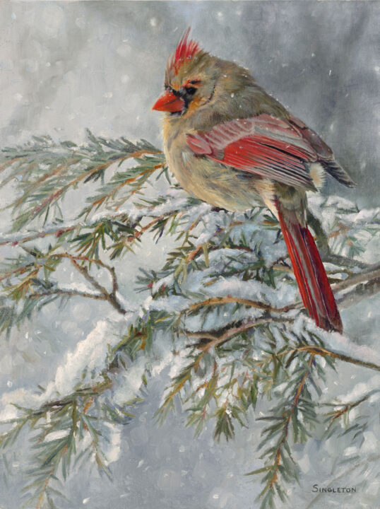 A Lady in the Snow