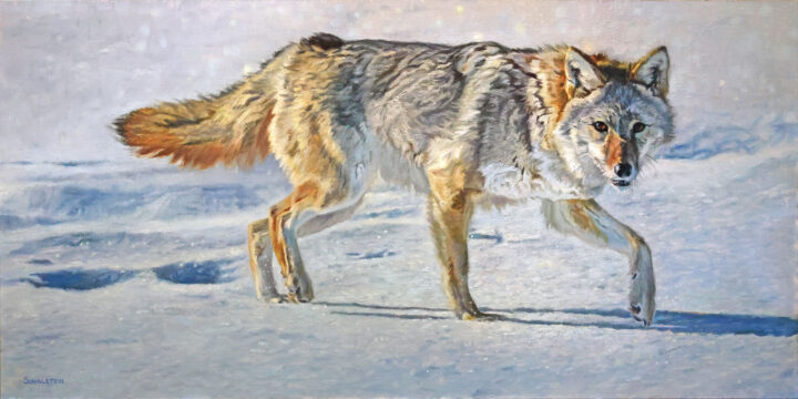 Winter Prowler