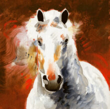 White on Red – #236