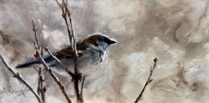 Winter Sparrow – #237