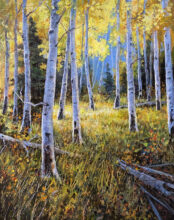 Aspen Grove – #239