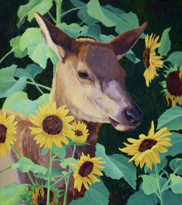 Between Blooms