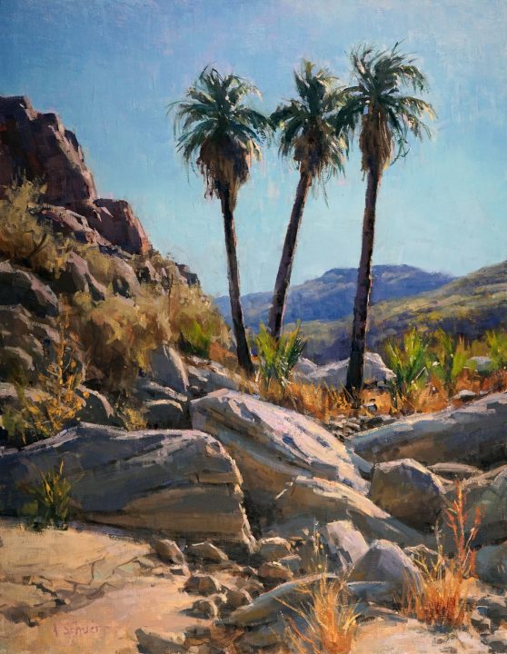 Desert Trio by Aaron Schuerr