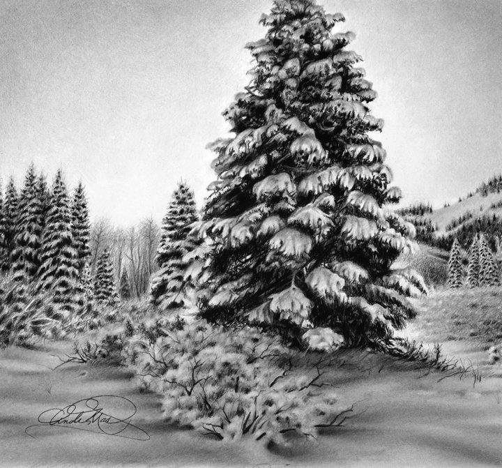 Silence & Solitude Silence & Solitude by Andy Mast