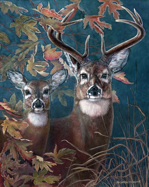 Forest Edge by Carolyn Mock
