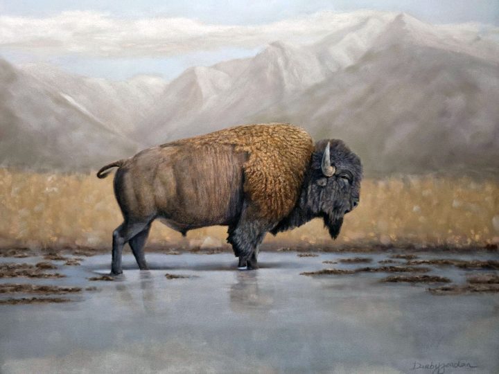 Mission Valley Bison by Darby Jordan