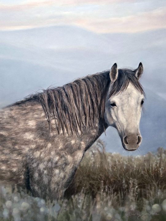 Mustang of the San Luis Valley by Darby Jordan