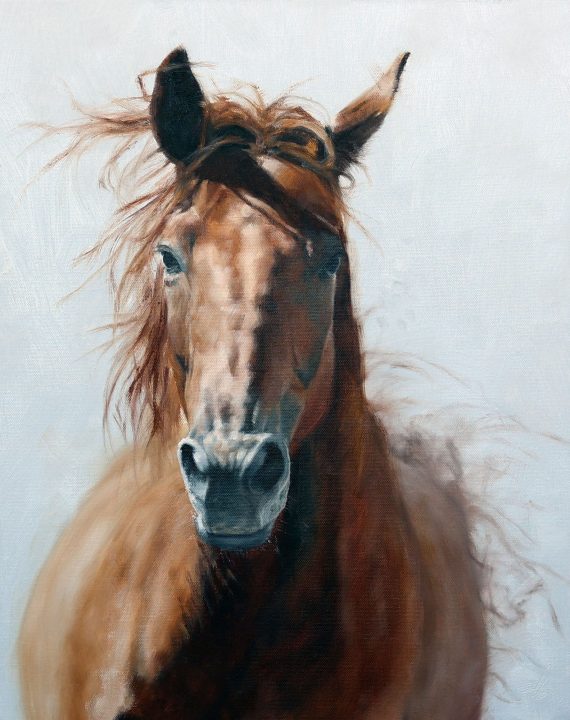 She Knows Her Name by Doyle Hostetler