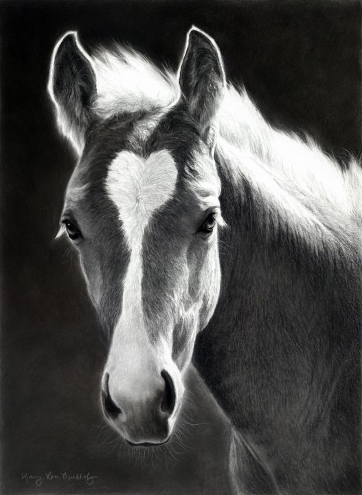A Lovely Glow A Lovely Glow by Mary Ross Buchholz