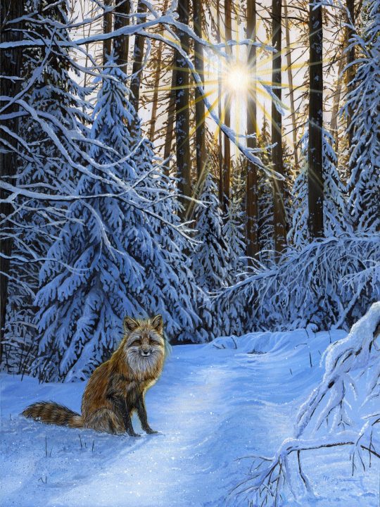 Enchanted Winter Enchanted Winter by Morgane Antoine