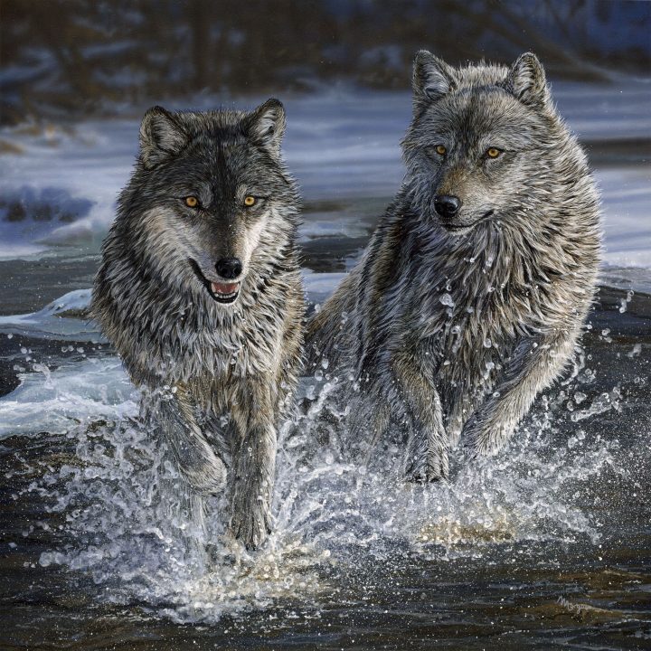 The River Still Runs Wild The River Still Runs Wild by Morgane Antoine