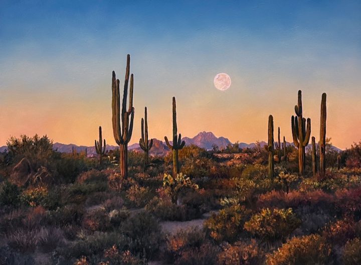 Desert Magic by Naomi Brown